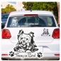 Preview: Yorkshire Terrier Hund Name Aufkleber Auto Yorki Autoaufkleber Sticker A4098